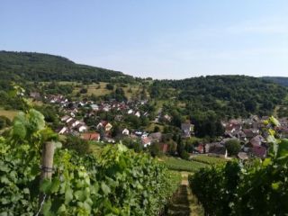 Ferienwohnung Ebringen Apartment Schneeburg picture 2