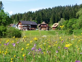 Ferienwohnung Freudenstadt Landhaus Anja picture 1