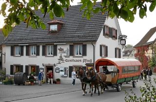 Ferienwohnung Kandern Ferienwohnung im Pflug picture 2