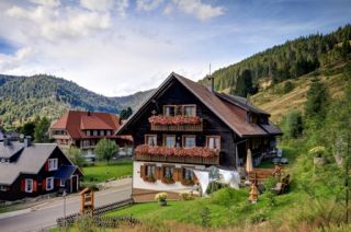 Privatvermieter Menzenschwand G&auml;stehaus Wild picture 1