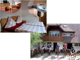 Bauernhof Oberwolfach Reiter- und Ferienhof Landeckhof picture 2