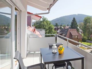 Ferienwohnung Titisee-Neustadt braviscasa GmbH - Ferienhaus Titisee picture 2