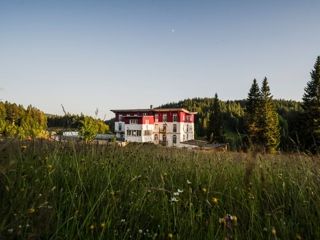 Hotel Todtnau **** Waldhotel am Notschrei picture 1
